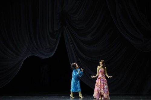 fledermaus_OHP_©_Herwig_PRAMMER_R1_0874b